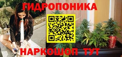 шишки Будённовск