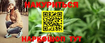 шишки Будённовск